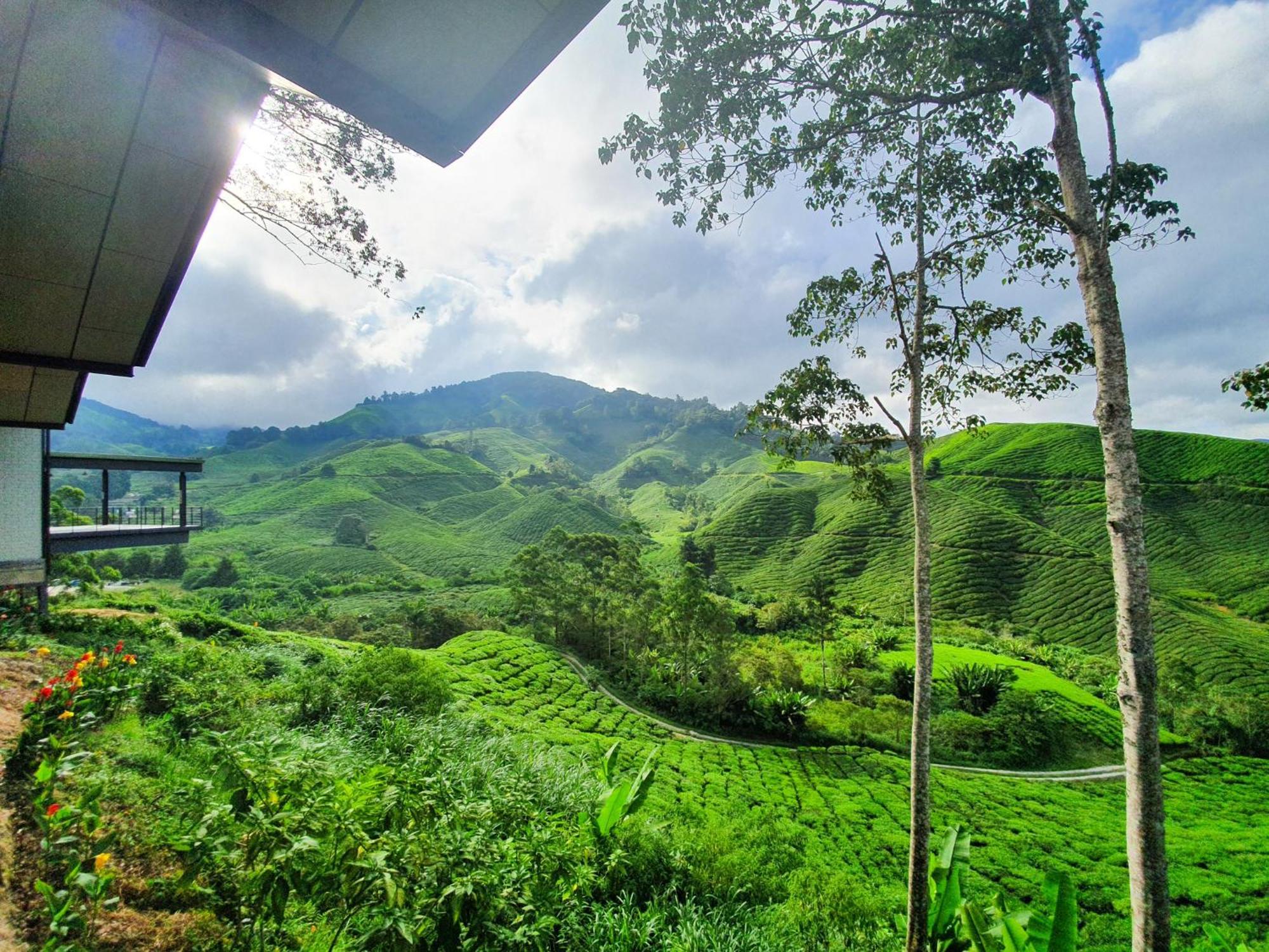 Clocktower 2 Homestay 2-7 Pax At Brinchang, Cameron Highlands Kültér fotó