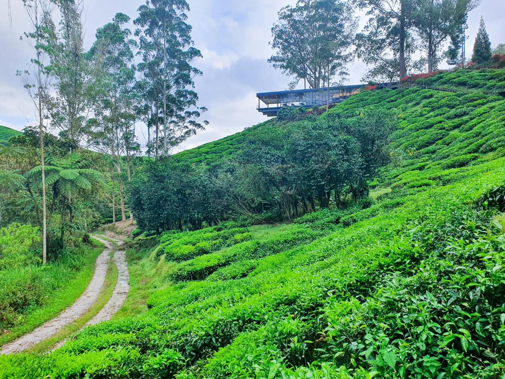 Clocktower 2 Homestay 2-7 Pax At Brinchang, Cameron Highlands Kültér fotó